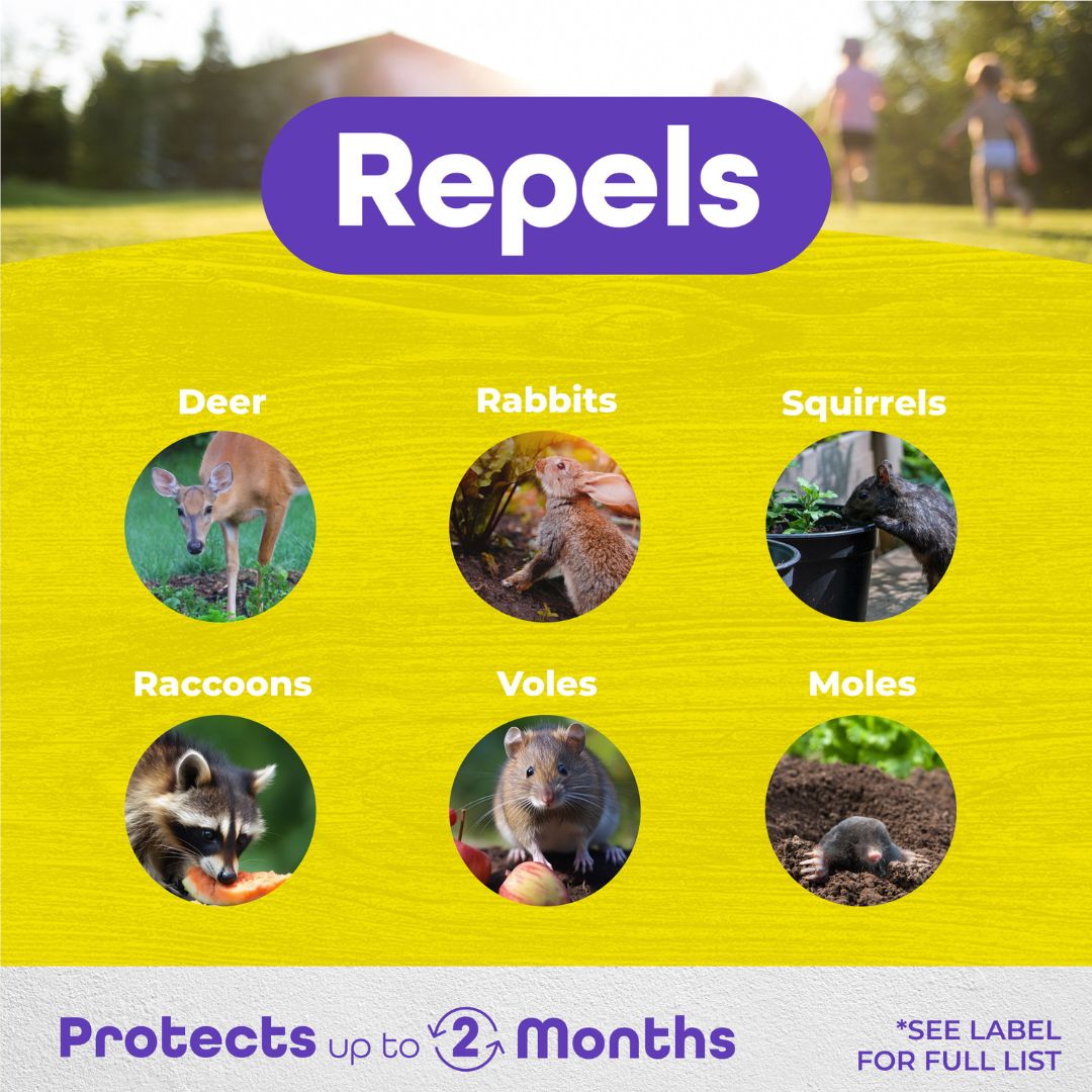 Repels-All Animal Repellent Spray – Bonide – 1 Gal